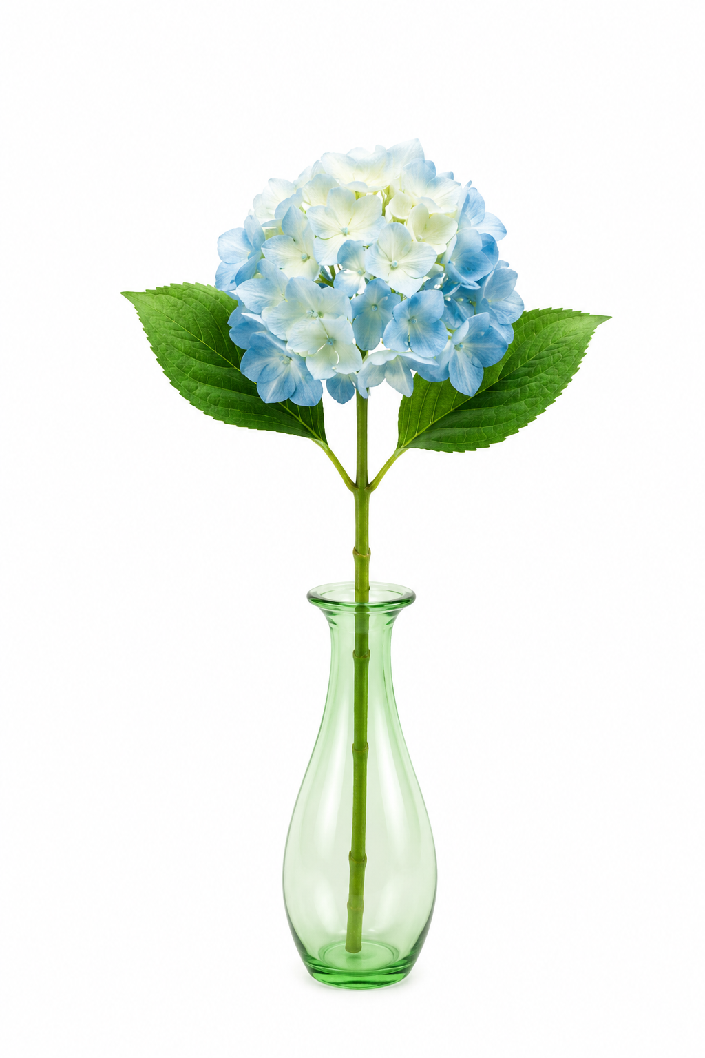 Single blue and cream faux hydrangea stem with green leaves in a green glass vase on white background