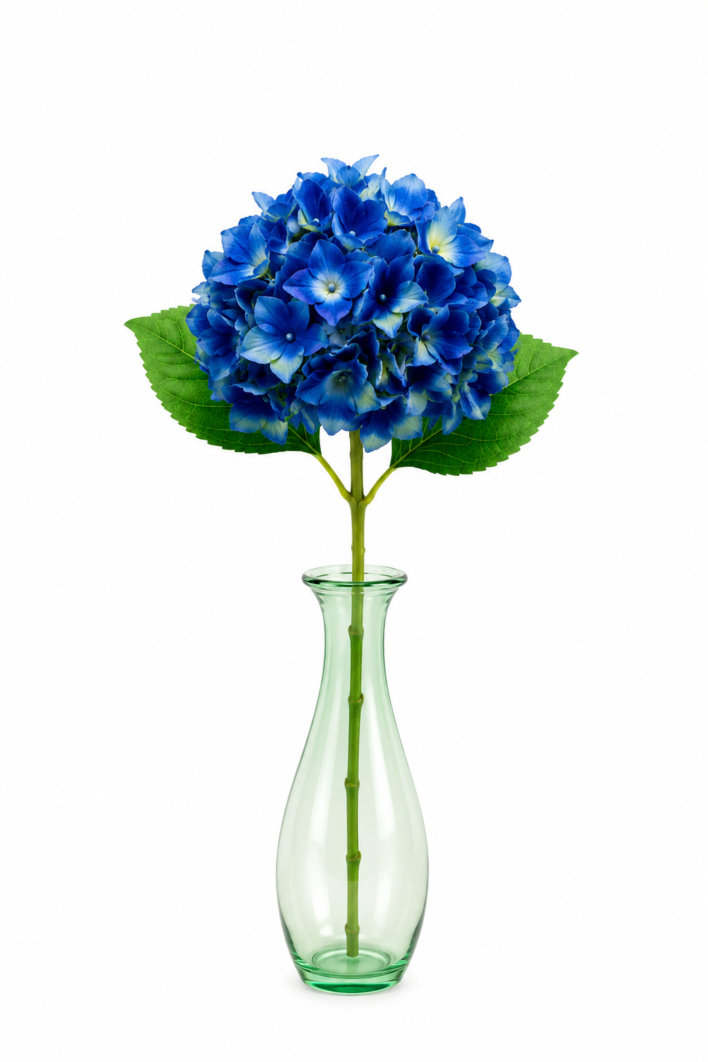 Single cobalt blue faux hydrangea stem with green leaves in a green glass vase on white background