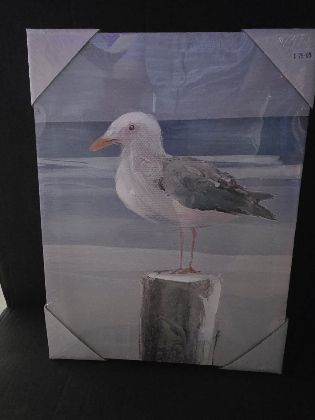 Seagull Canvas Print – Coastal Wall Art for Living Room & Home Styling
