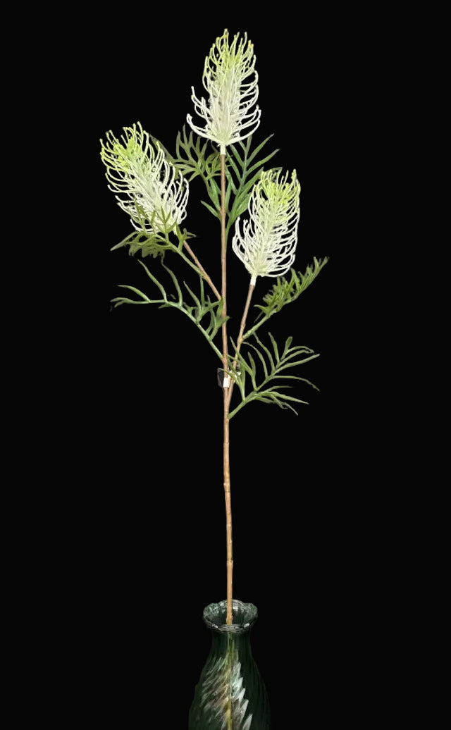 Green vase with a plant against a dark background