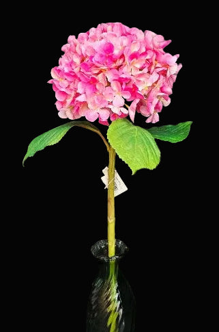 Pink flower in a green vase against a dark background