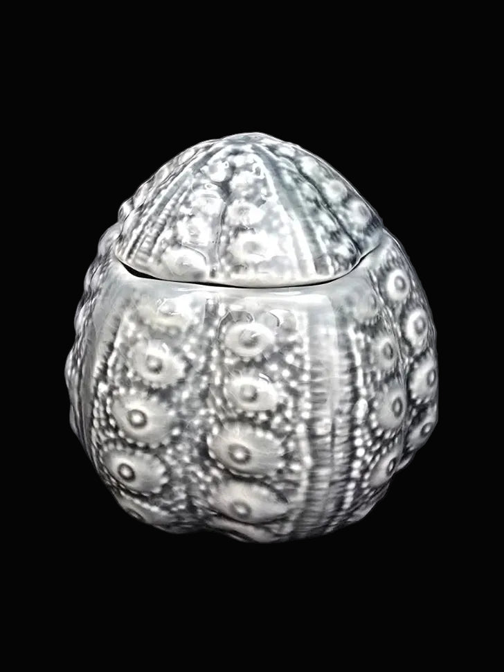 Close-up of blue and white ceramic sea urchin shaped trinket jar with removable lid and raised texture detail — Mistletoe Home