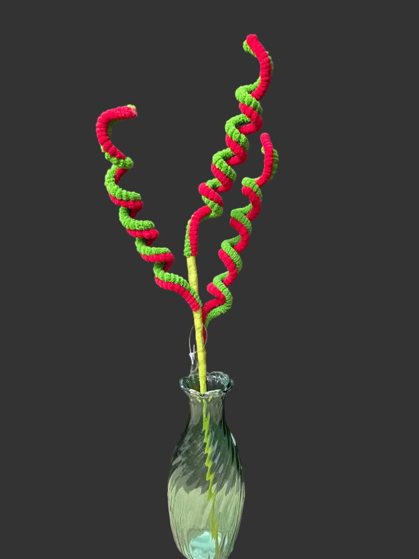 Glass vase with red and green twisted stems on a black background