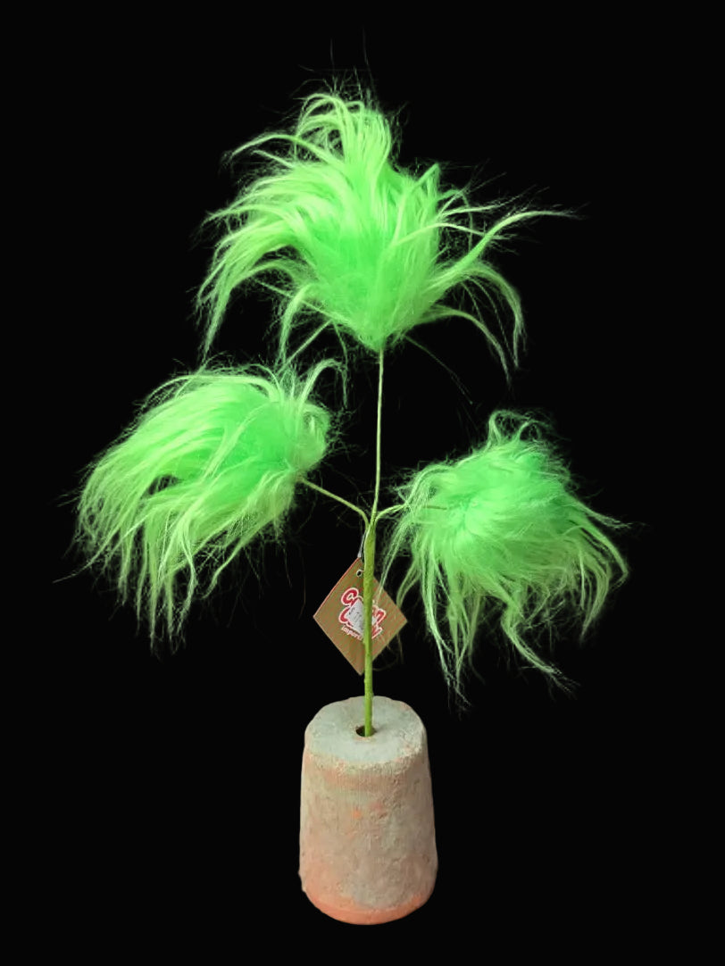Green furry ball pick in a pot on a black background