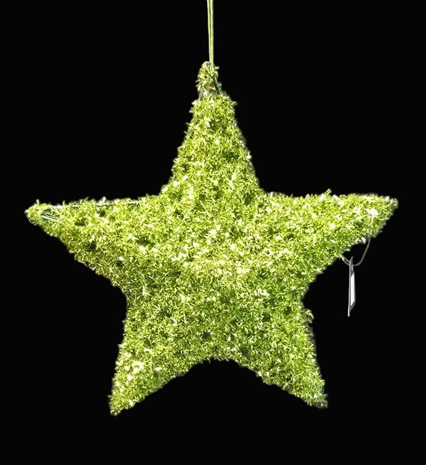 Green star-shaped ornament on a black background