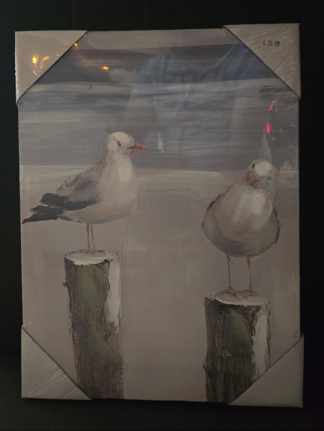 Two seagulls on wooden posts with a blurred background