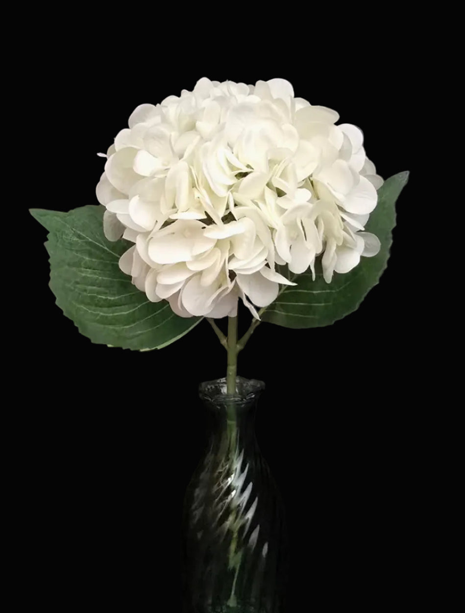 Single white faux hydrangea stem with full flower head and green leaves in a glass vase on black background — artificial flower Australia Mistletoe Home