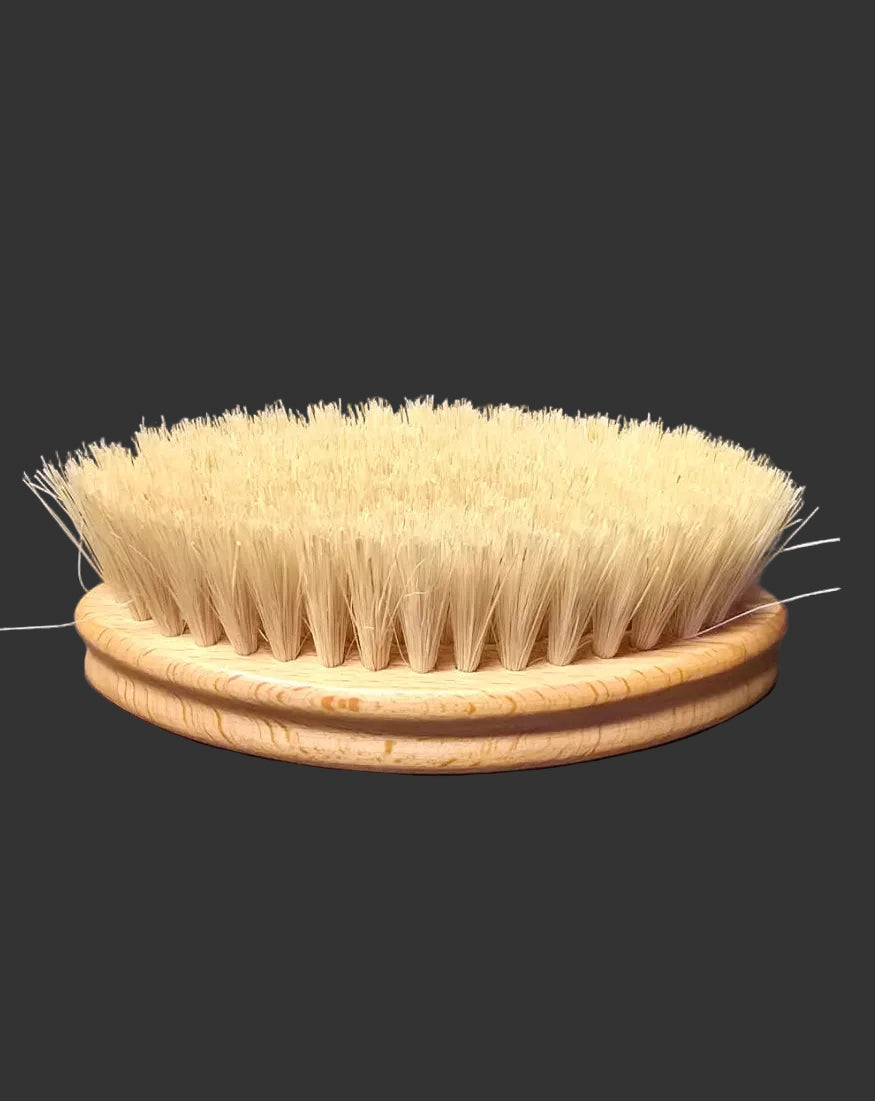 Close up of round wooden vegetable scrub brush showing firm natural bristles on dark background — eco kitchen essential Australia Mistletoe Home
